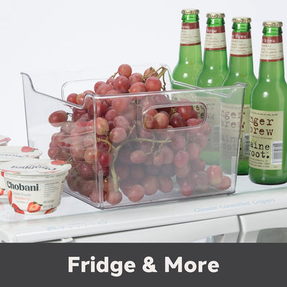 Clear Plastic Storage Bin with Handles – Deep
